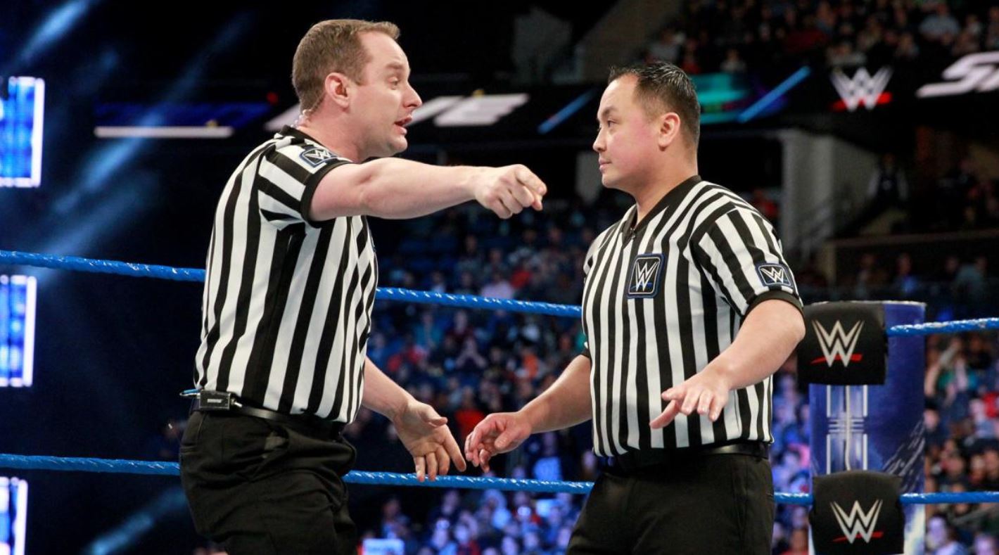 HOW MUCH MONEY DO WWE REFEREES MAKE