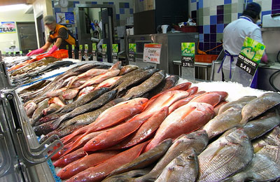 bahrain tonnes farmed