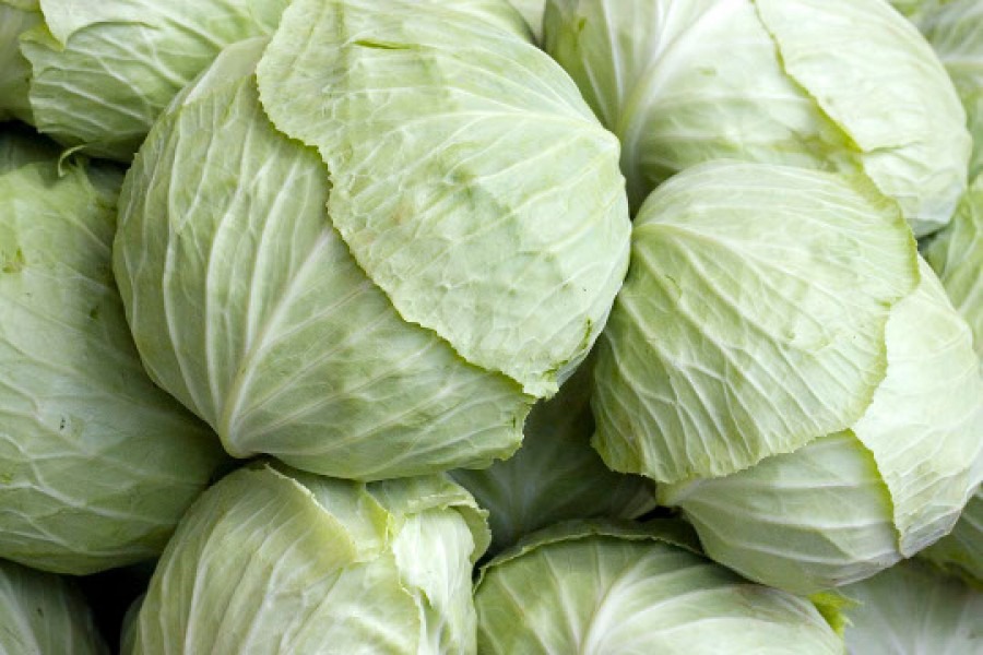 Health: 10 filling foods that help you lose weight
