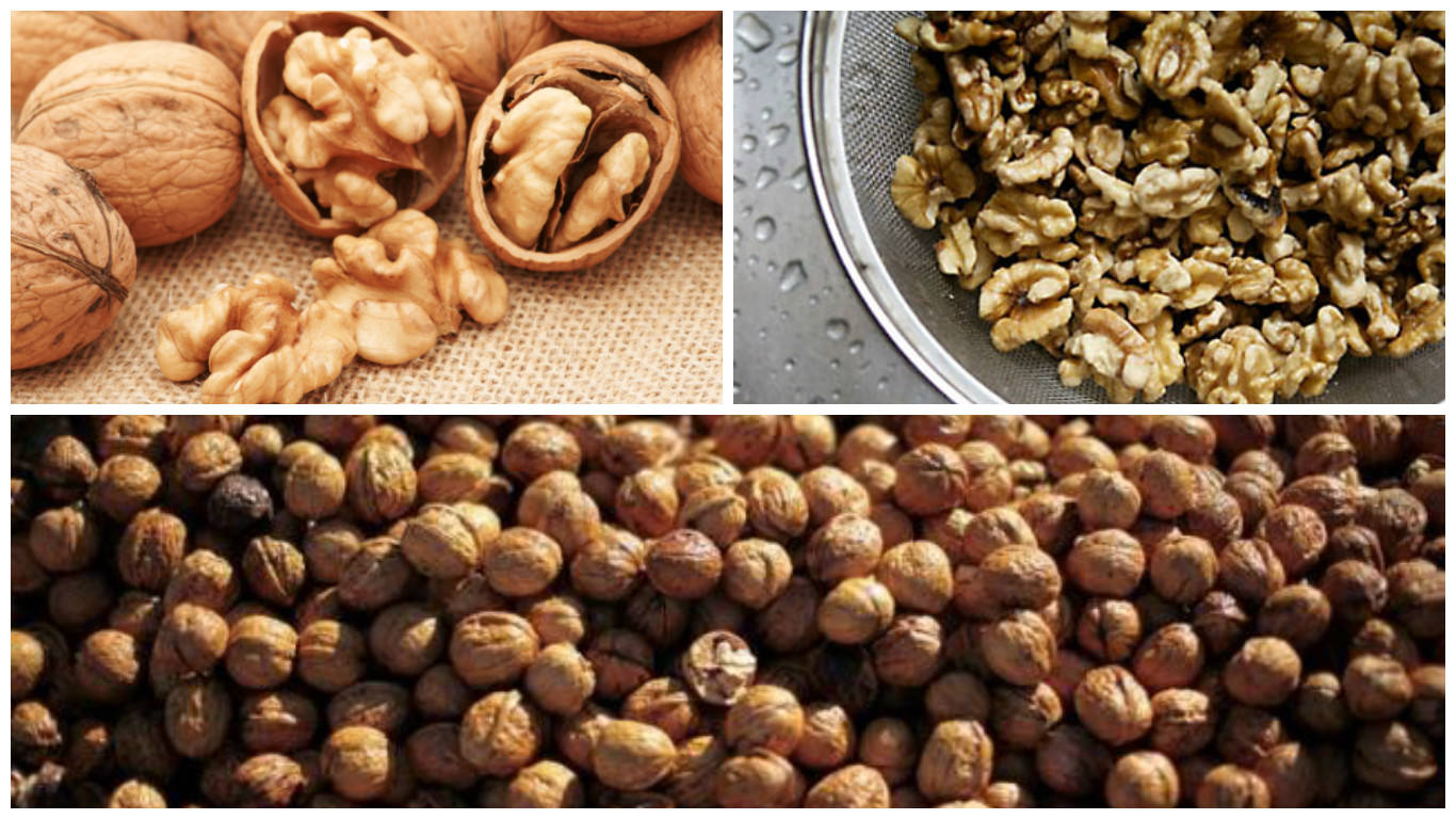 Health 10 reasons why you should eat walnuts every day!
