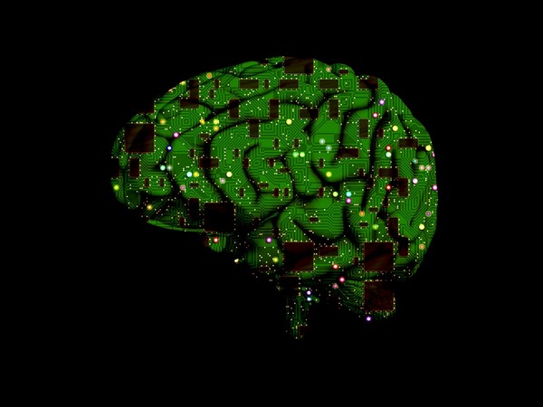 build first-ever brain-to-brain network for thought exchange