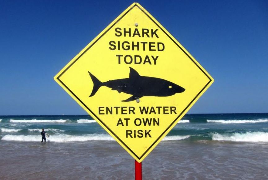OMG: Man killed in shark attack in Western Australia