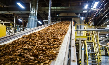 Bahrain News: Green light for tobacco factory