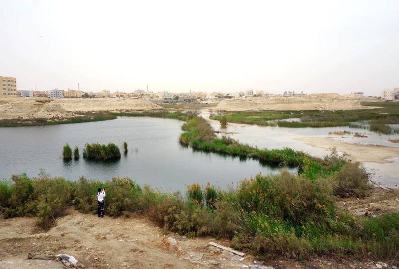 Leisure Capturing the beauty of Wadi Al Buhair