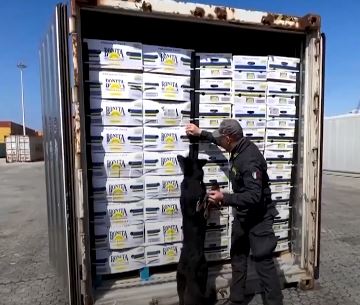 World News: Italian police find $880 million of cocaine stashed in ...