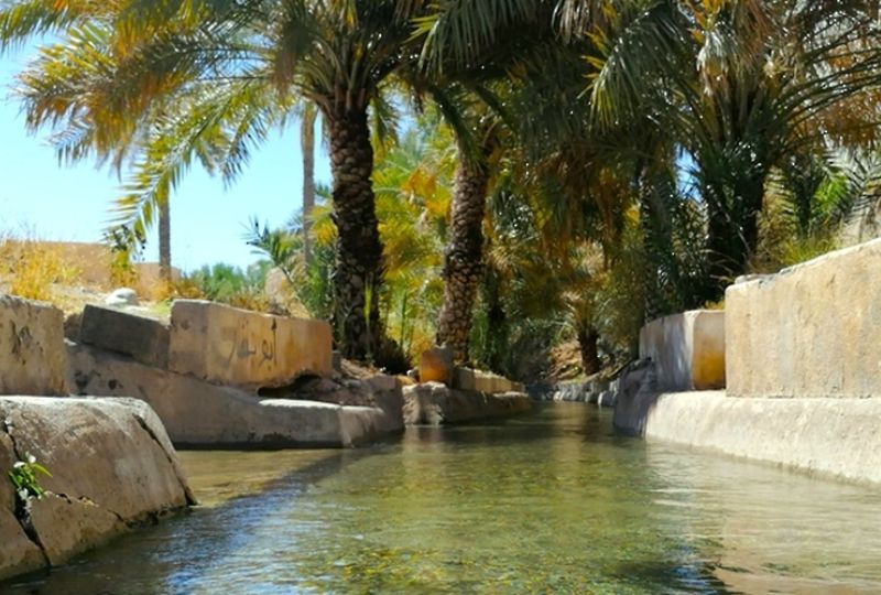 Oman: “UNESCO aflaj studies chair” implements projects to promote omani ...