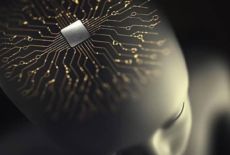 Tech Talk: Chinese researchers develop brain-on-a-chip system