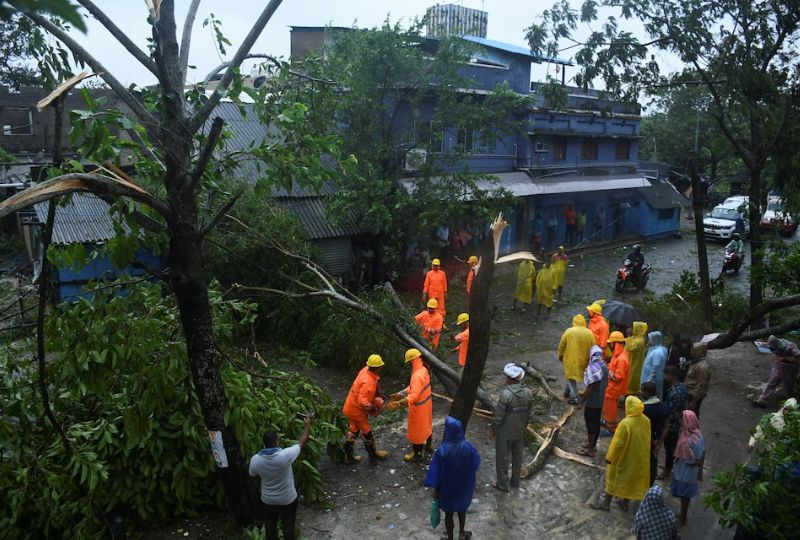 World News: Cyclone Dana uproots trees, snaps power lines on India's ...