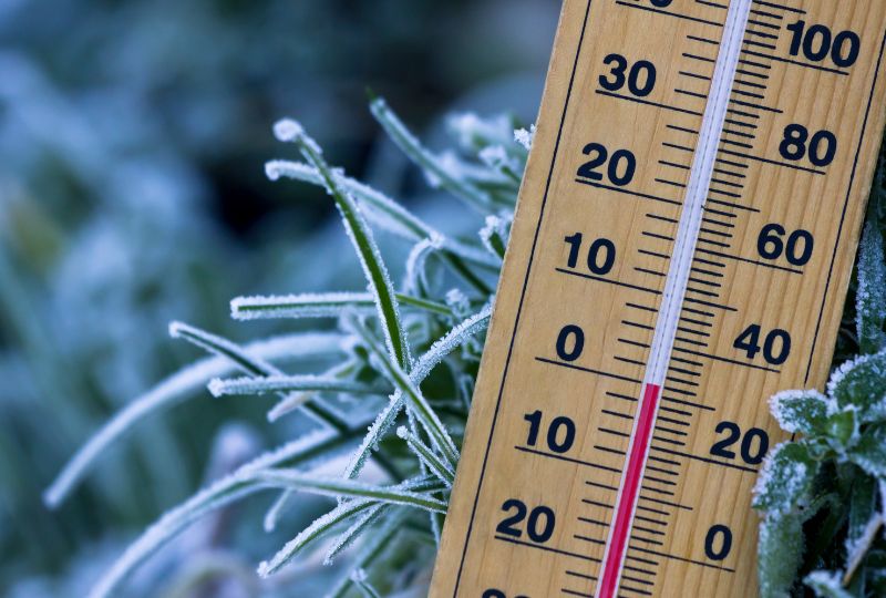 Bahrain News: Meteorological Directorate: Bahrain to experience a cold ...