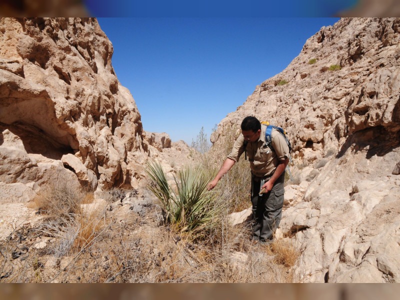 UAE President directs expansion of protected natural areas in Abu Dhabi