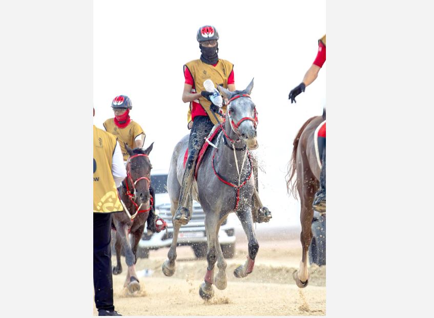 Other Sports: Bahrain riders capture endurance teams’ silver