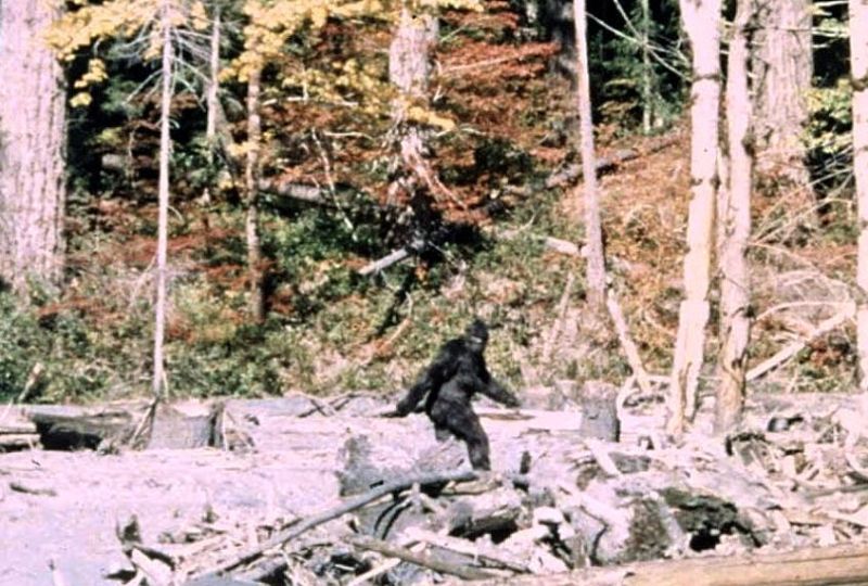 Researcher claims 'very credible' Bigfoot sighting in Pennsylvania