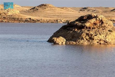 Rainfall transforms Saudi deserts into picturesque...