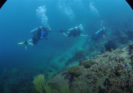 Musandam Discovery Diving Centre: An Omani project...