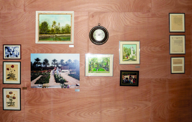 The sagas of the sage