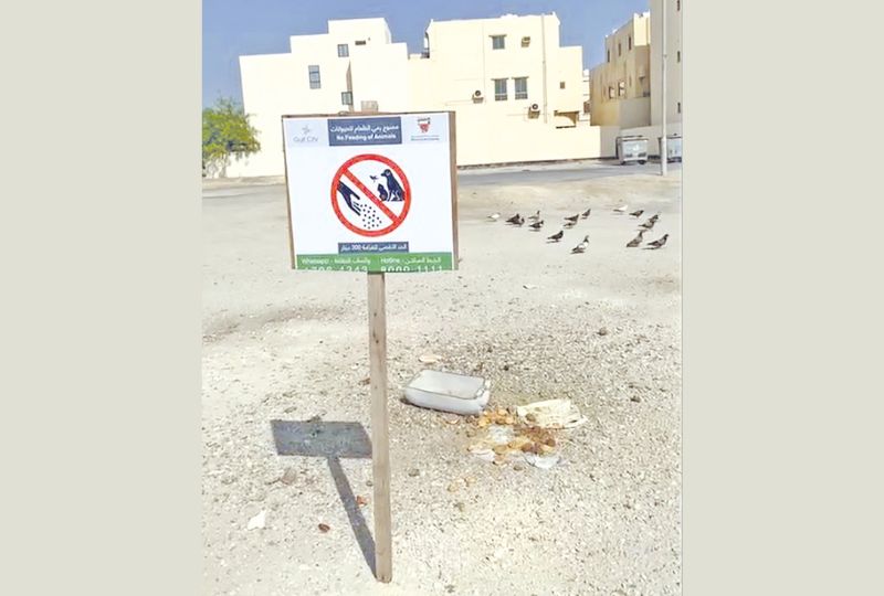 People in the past have been warned against feeding birds and animals