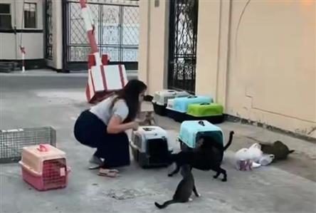 30 furry friends to be neutered as part of Ramadan...