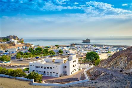 Swiss plans flight from Oman to help stranded...