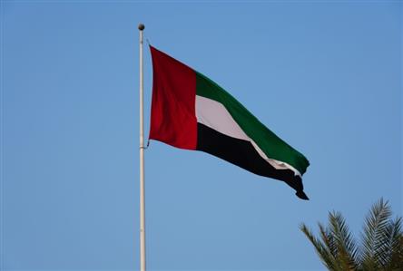 UAE Vice President, Iranian Parliament Speaker...