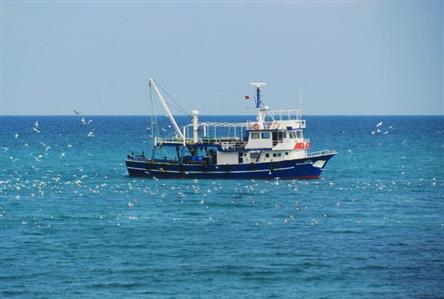 Kuwait to allow fishing and recreational boats...