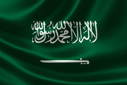Security patrols in Makkah arrest resident for...