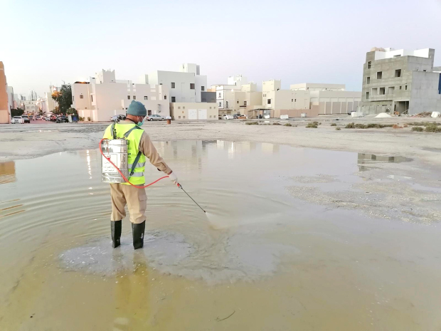 Removal of stagnant water ‘key to curbing mosquitoes’...