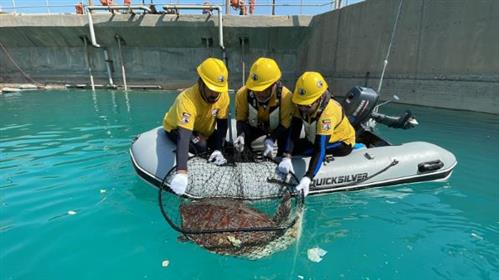 Kuwait Dive Team "committed" to protecting sea...