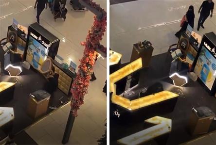 Saudi authorities investigate woman filmed damaging...