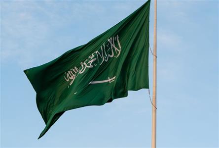 Saudi Arabia deports 8,000 expats in one week...