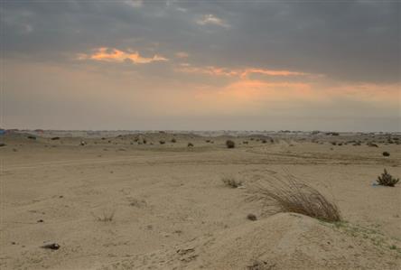 Missing Indian expat found dead and buried in...