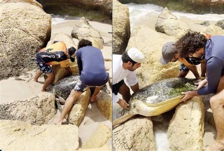 Heartwarming moment as group of men saves stranded...