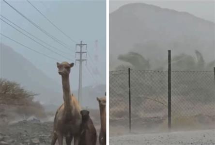 Summer showers sweep UAE, more rain forecast...