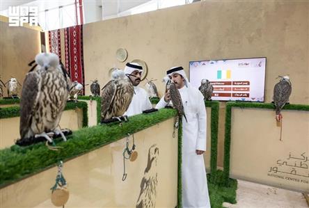Past successes lead Irish falcon farm to bring...