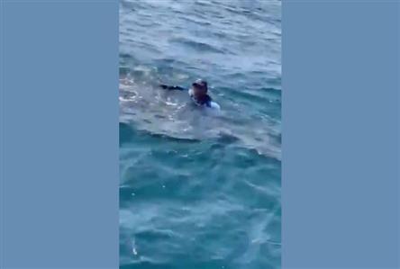 WATCH: Bahraini fishermen capture rare encounter...