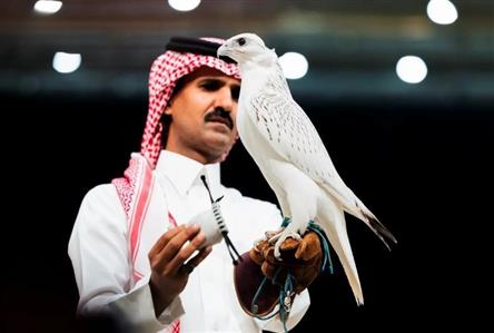 Falcon sells for SR1.3 million in Saudi Arabia...