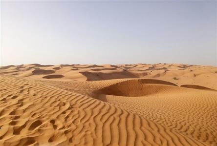 Saudi Arabia, Kuwait strengthen cooperation...