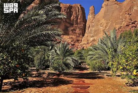 AlUla wins gold at Responsible Tourism Awards...