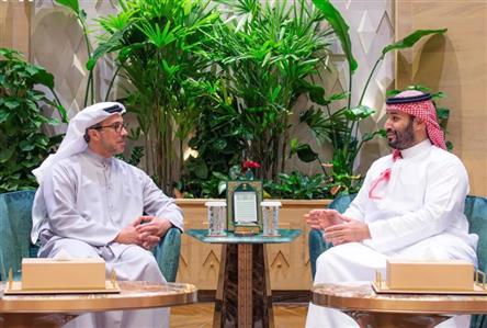Saudi Crown Prince receives UAE Vice President...