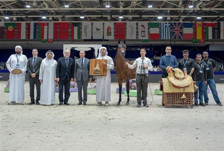 UAE studs claim 12 titles at International Arabian...