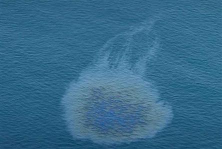 Oil spill from tanker hits Umm Al Quwain coast,...